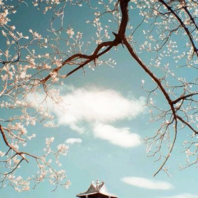 勇闯女儿国小米版下载
